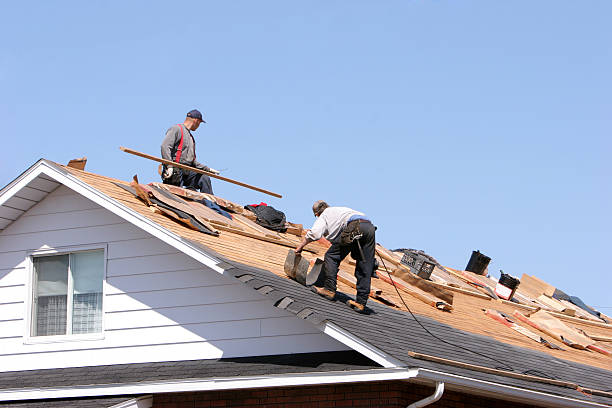 Best Tile Roofing Installation  in Las Lomas, TX