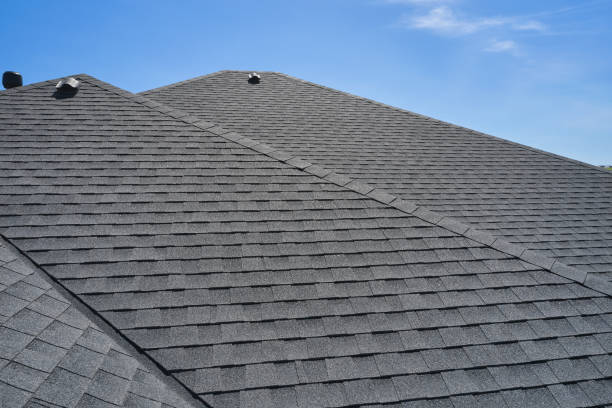 Best Roof Ventilation Installation  in Las Lomas, TX
