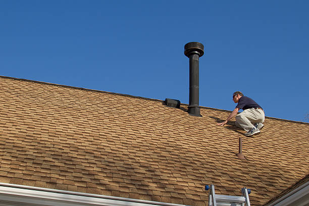 Best Metal Roofing Installation  in Las Lomas, TX